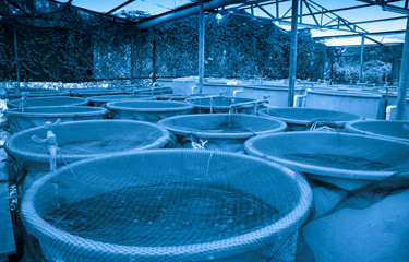 Aquaculture tanks with solar powered water circulation