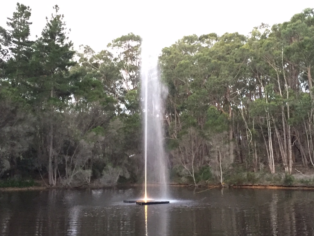 A tall solar powered fountain jet rising from a lake surrounded by trees