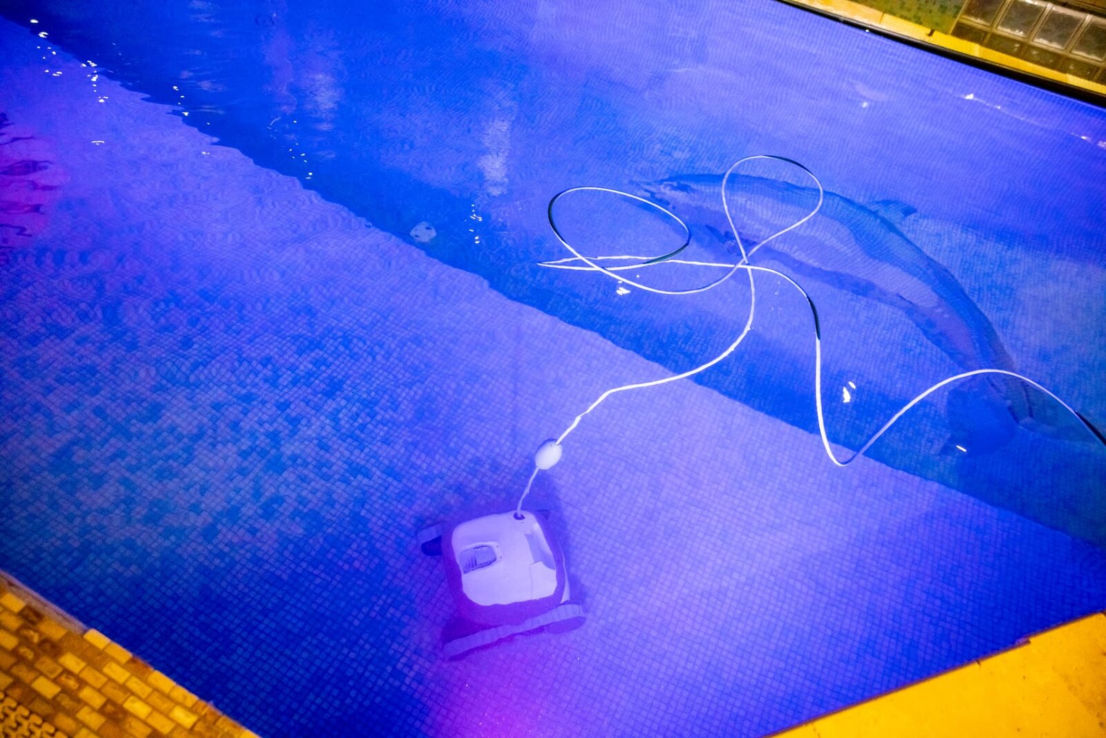 Robotic Pool Cleaners